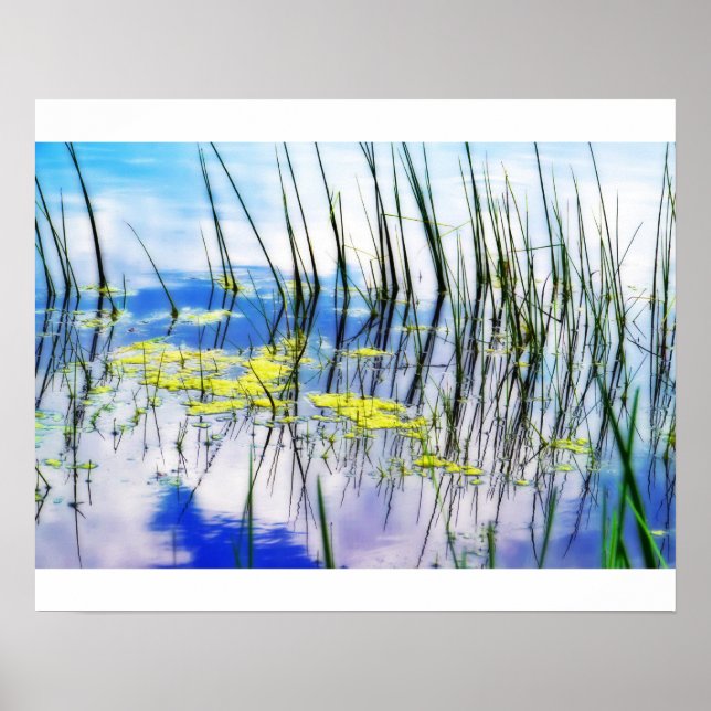 Blues und Gras Poster (Vorne)