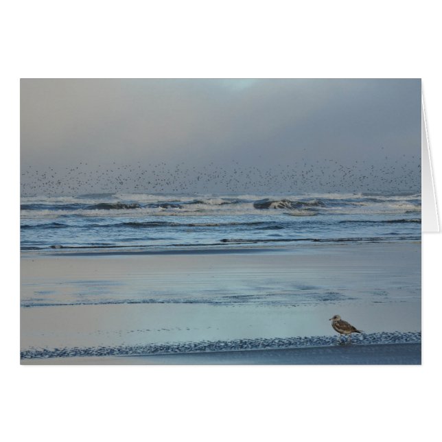 Blues zum pazifischen Ozean (Vorderseite (Horizontal))