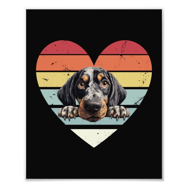 Bluetick Coonhound Dog Fotodruck (Vorne)