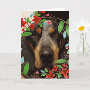 Bluetick Coonhound Hund/Foto Karte