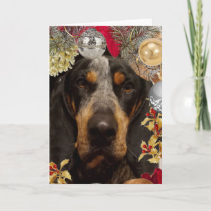 Bluetick Coonhound Hund/ Haustier Foto Weihnachten Karte