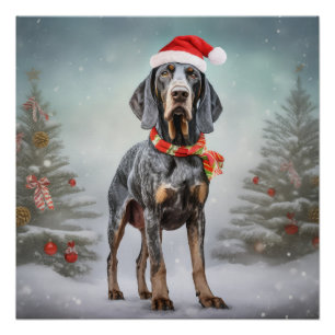 Bluetick Coonhound Hund im Schnee Weihnachten Poster