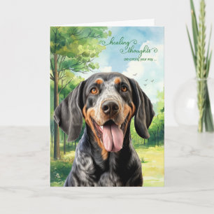 Bluetick Coonhound Hund Landwiese Gute Besserung Karte