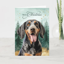 Bluetick Coonhound Hund und Winterwald