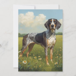 Bluetick Coonhound Karte