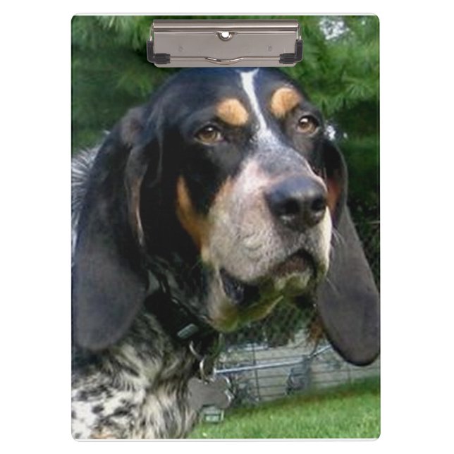 Bluetick Coonhound.png Klemmbrett (Vorderseite)