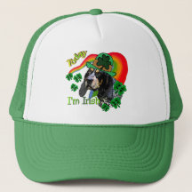 Bluetick Coonhound St Patricks