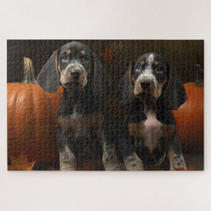 Bluetick Coonhound Welpe Herbstfreude Kürbis