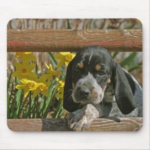 Bluetick Welpe Mousepad