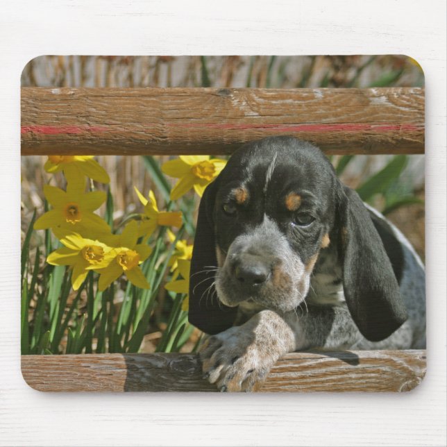 Bluetick Welpe Mousepad (Vorne)