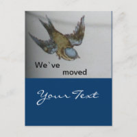 bluetit-wir sind umgezogen