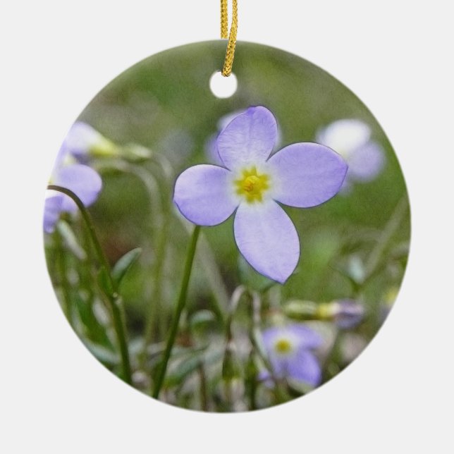 Bluets - Quäker-Damen Keramikornament (Vorne)