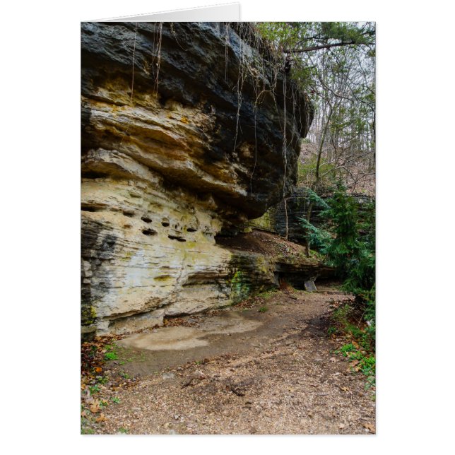 Bluff Lined Walkway (Vorne)