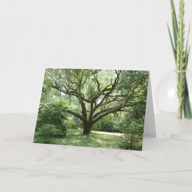 Bluffton Sommer-Nachmittag Karte (Vorderseite)