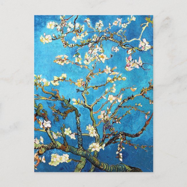Blühen Almond Tree Van Gogh Kunst und Kultur Postkarte (Vorderseite)