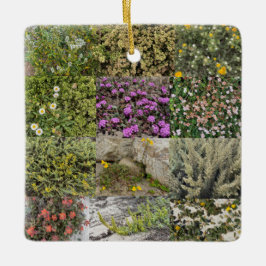 Blühen am Meer: Asilomar Keramikornament