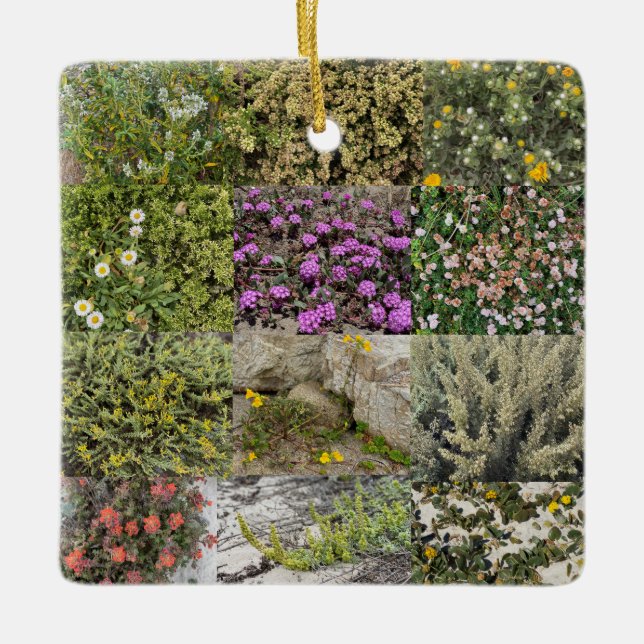 Blühen am Meer: Asilomar Keramikornament (Vorderseite)