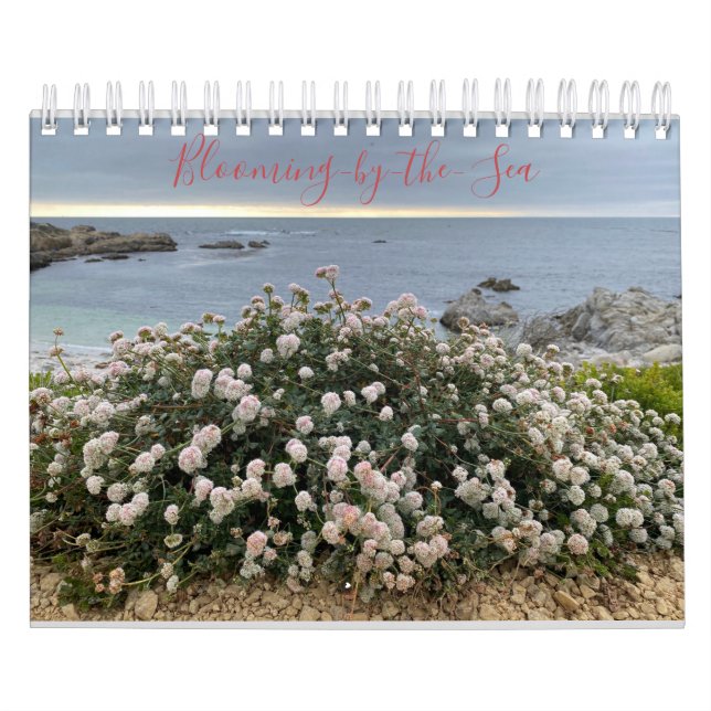 Blühen am Meer Kalender (Titelbild)