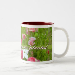 Blühen Sie wo Sie werden gepflanzt, rosa Zweifarbige Tasse