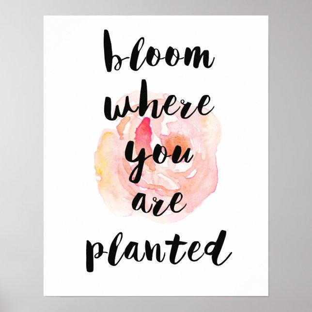 Blühen, wo man Wasserfarben-Rose pflanzt Poster (Vorne)