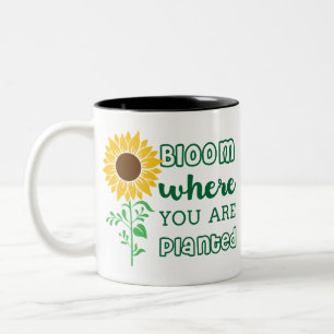 Blühen, wo Sie gepflanzt sind Sonnenblumen Art Zweifarbige Tasse