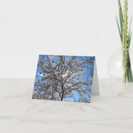 Blühend Cherry Blossom Tree Notecard Dankeskarte