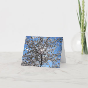 Blühend Cherry Blossom Tree Notecard Dankeskarte