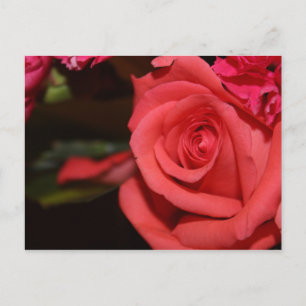 Blühend Rose Postkarte