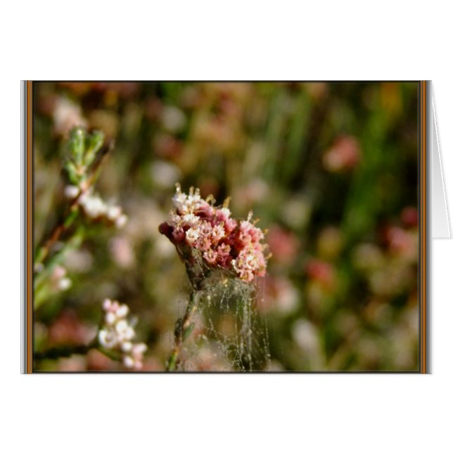 Blühend schön (Vorderseite (Horizontal))