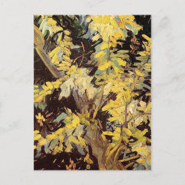 Blühende Akacia Branches Vincent van Gogh. Postkarte