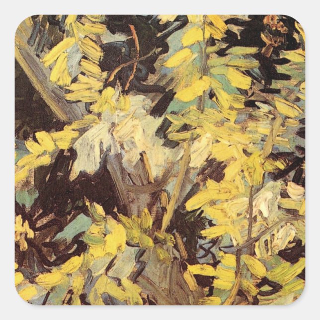 Blühende Akacia Branches von Vincent van Gogh Quadratischer Aufkleber (Vorderseite)