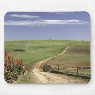 Blühende Aloen nahe Caledon, Westkap Mousepad