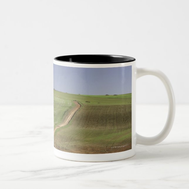 Blühende Aloen nahe Caledon, Westkap Zweifarbige Tasse (Rechts)