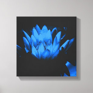 Blühende Blaue Wasserlilie Lotus Blume Abstrakt Leinwanddruck