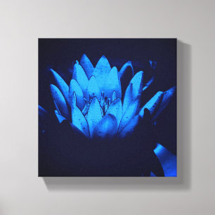 Blühende Blaue Wasserlilie Lotus Blume Abstrakt Leinwanddruck