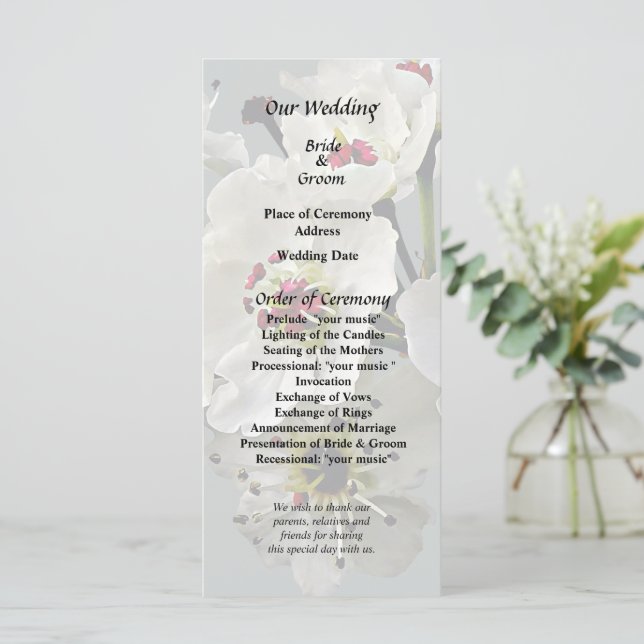 Blühende Blüten aus weißer Birne Programm (Stehend Vorderseite)