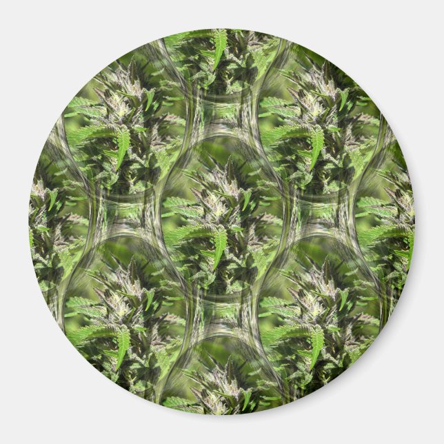 Blühende Durban...... Magnet (Vorne)