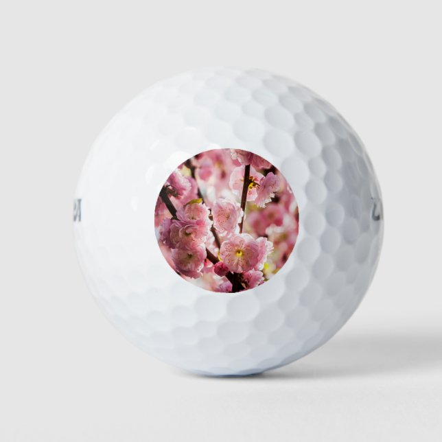 Blühende Erde - rosa Paradise Golfball (Vorderseite)