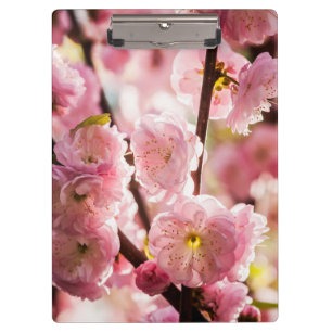 Blühende Erde - rosa Paradise Klemmbrett