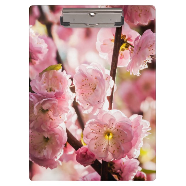 Blühende Erde - rosa Paradise Klemmbrett (Vorderseite)