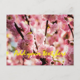 Blühende Erde - rosa Paradise Postkarte