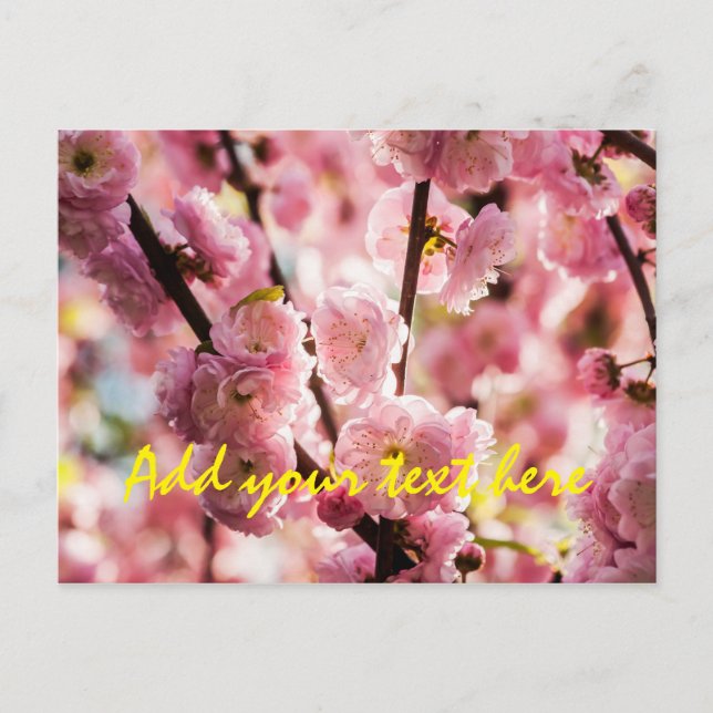 Blühende Erde - rosa Paradise Postkarte (Vorderseite)