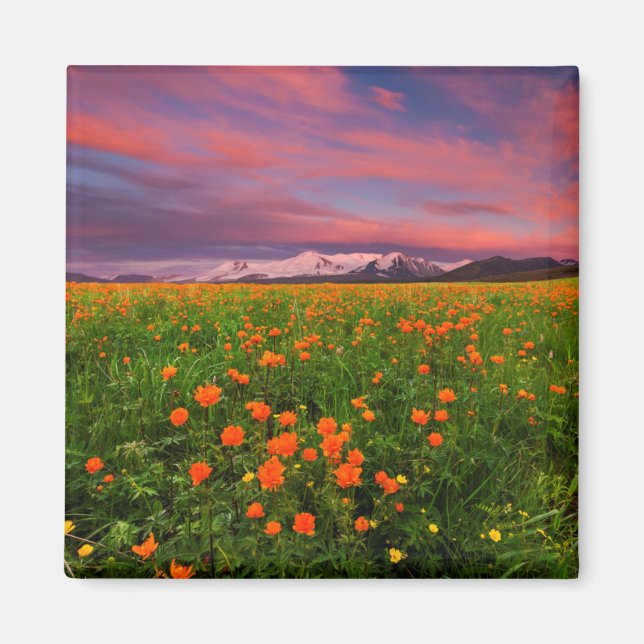 Blühende globale Blume Magnet (Vorne)