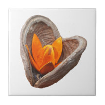 Blühende Herzfliese