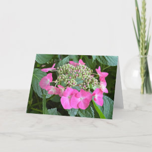 Blühende Hydrangea-Blankenkarte Dankeskarte