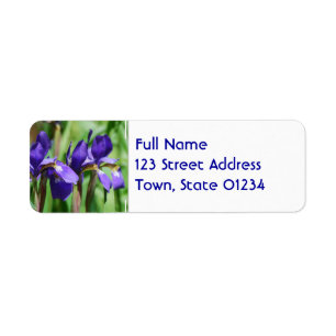 Blühende Iris