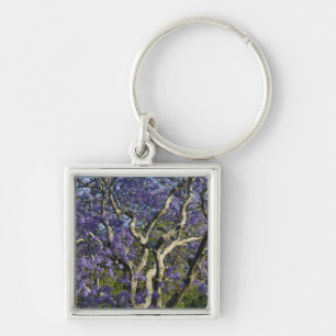 Blühende Jacaranda-Bäume im New Farm Park, 2 Schlüsselanhänger