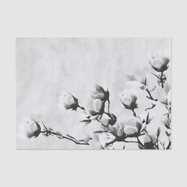 Blühende KirschBlumen, Blumenschwarzweiss Seidenpapier (Vorderseite)