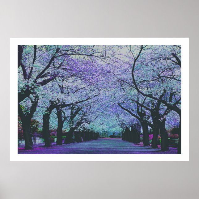 Blühende Kirschblüten Tokio, Japan Poster (Vorne)