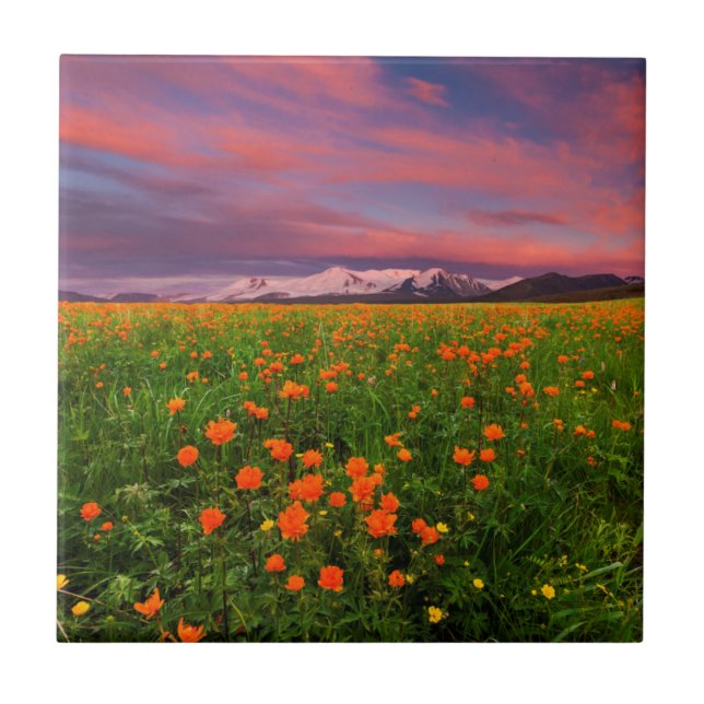 Blühende Kugel-Blume Fliese (Vorderseite)
